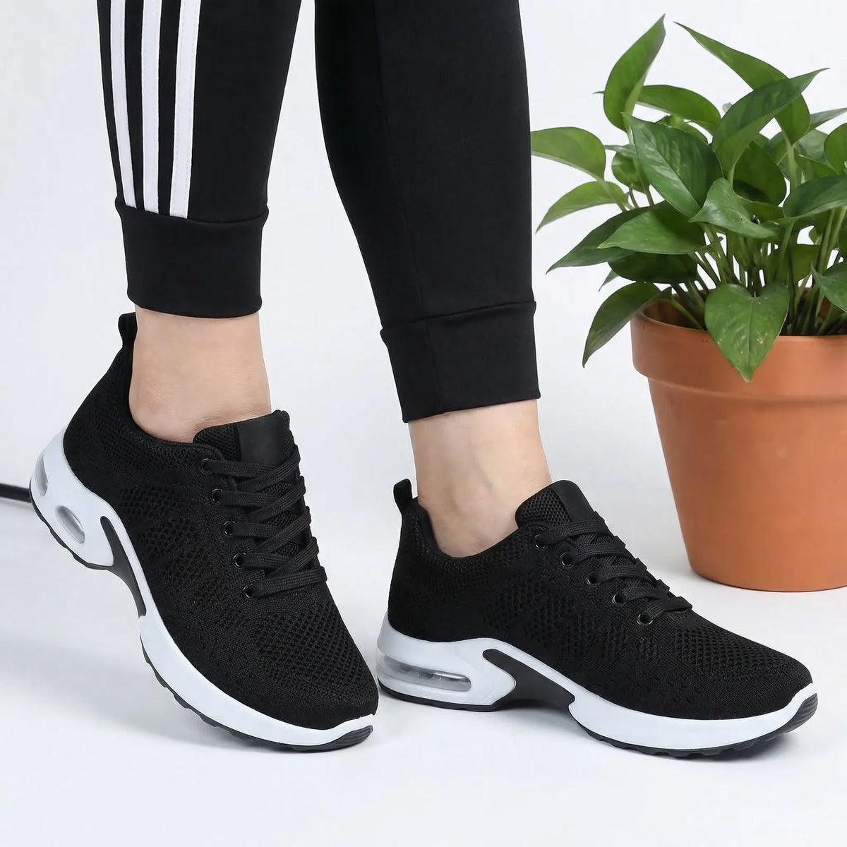 Basket confort portée, à côté d'une plante verte